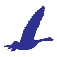 imgi_10_leadershape_ltd_logo